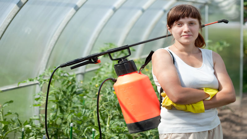 What Are The Benefits Of Weed Control Services In Wellington, Florida?