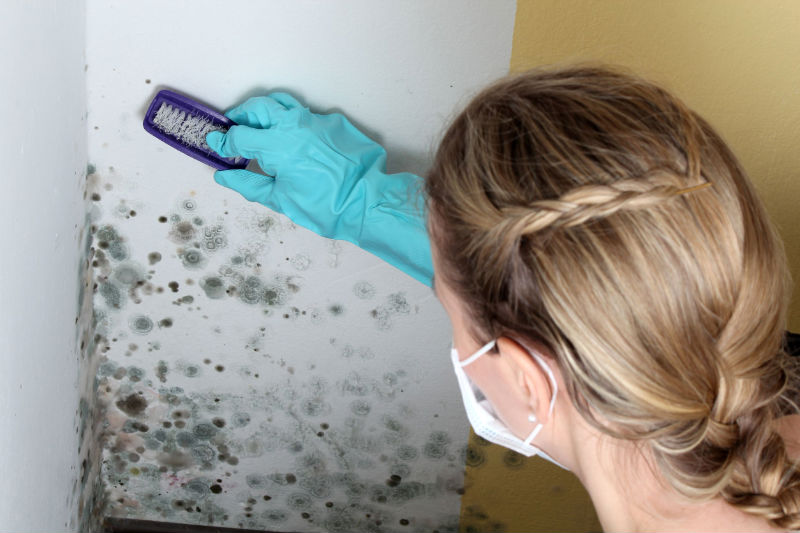 Why Mold Treatment Services in Arlington VA are Critical When Mold Growth is Out of Control