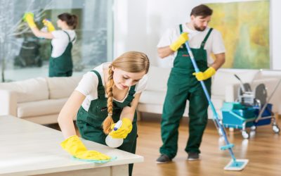 Transform Your Space with Home Cleaning Services in Bellevue, WA